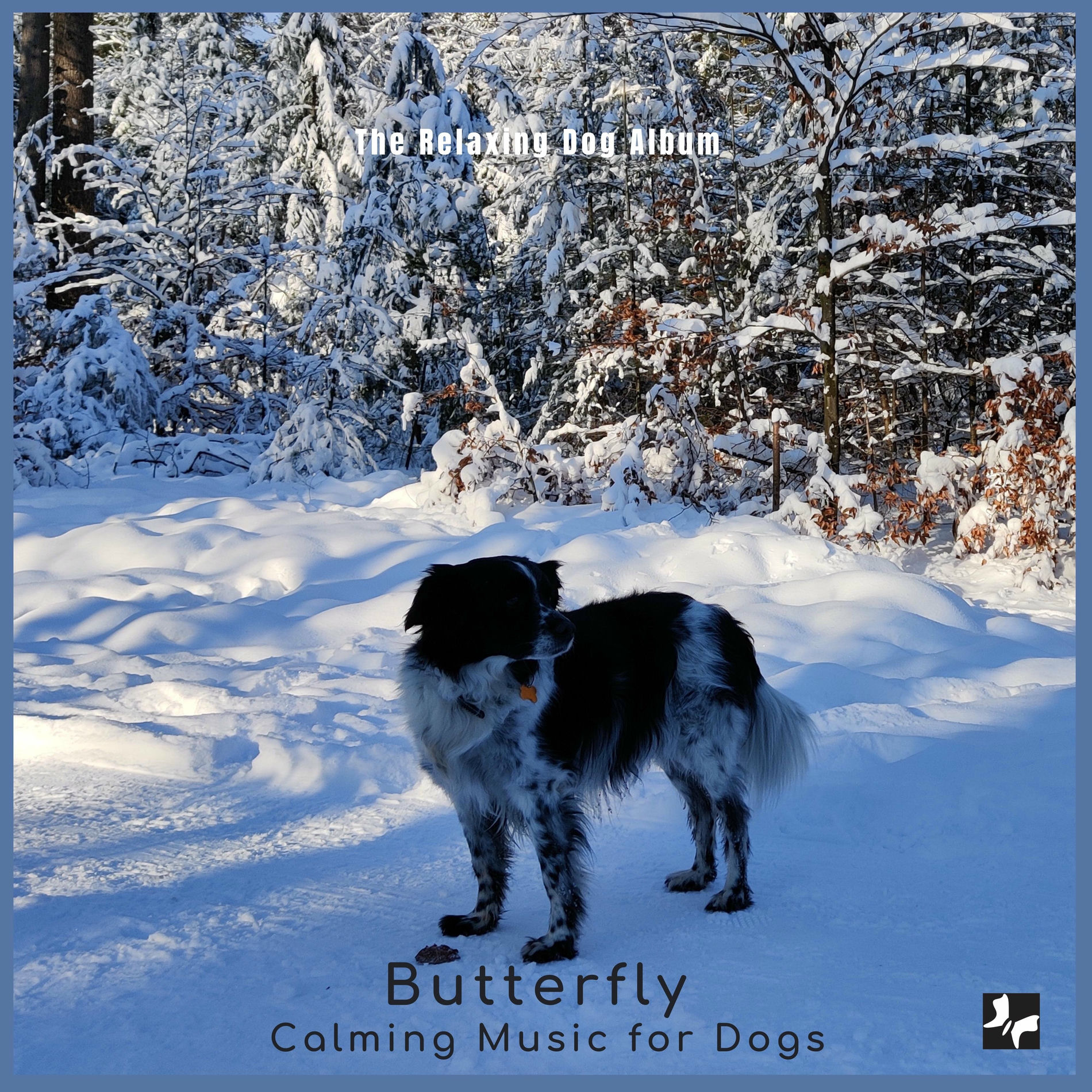 Album cover of The Relaxing Dog Album