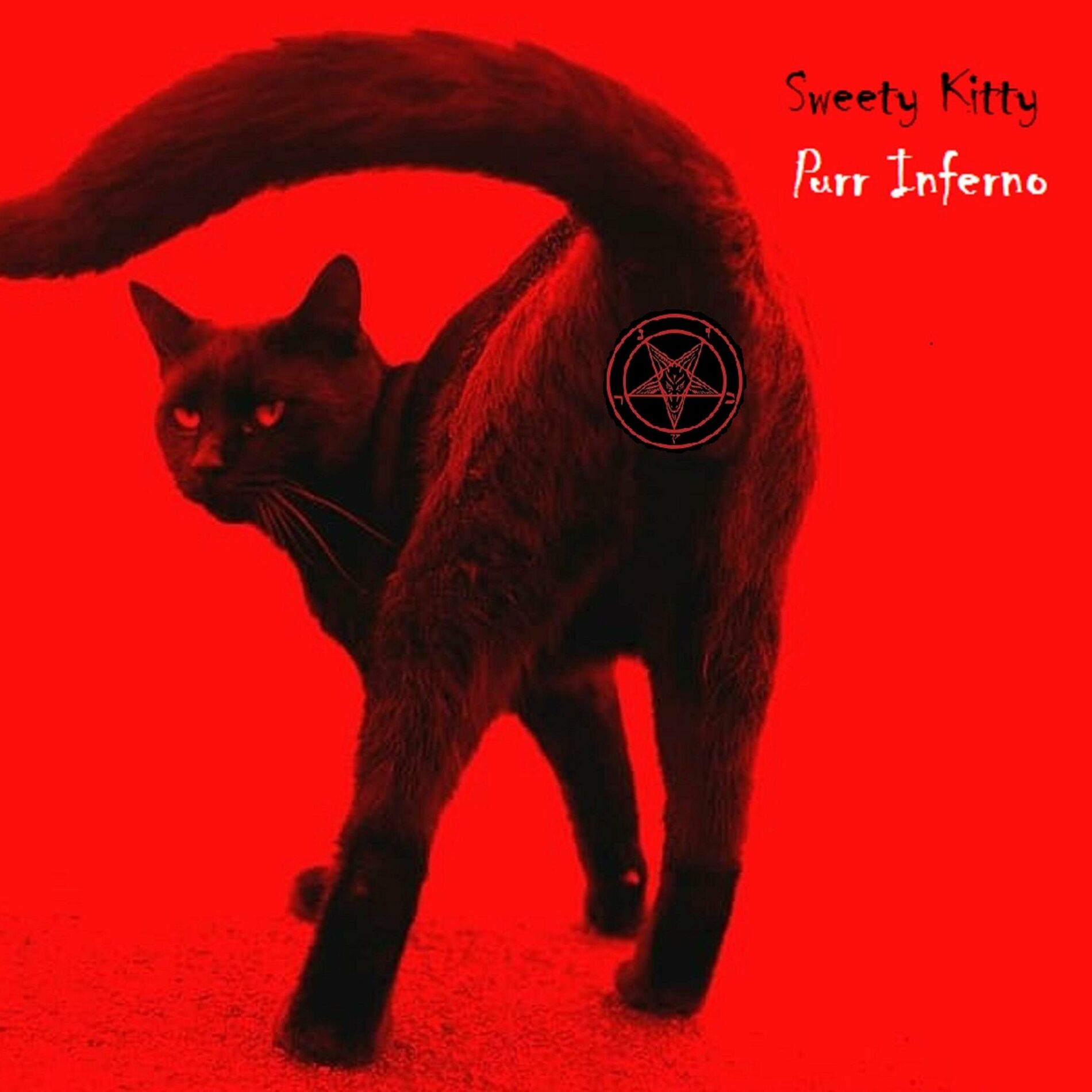 Sweety Kitty - Porn N Roll: listen with lyrics | Deezer