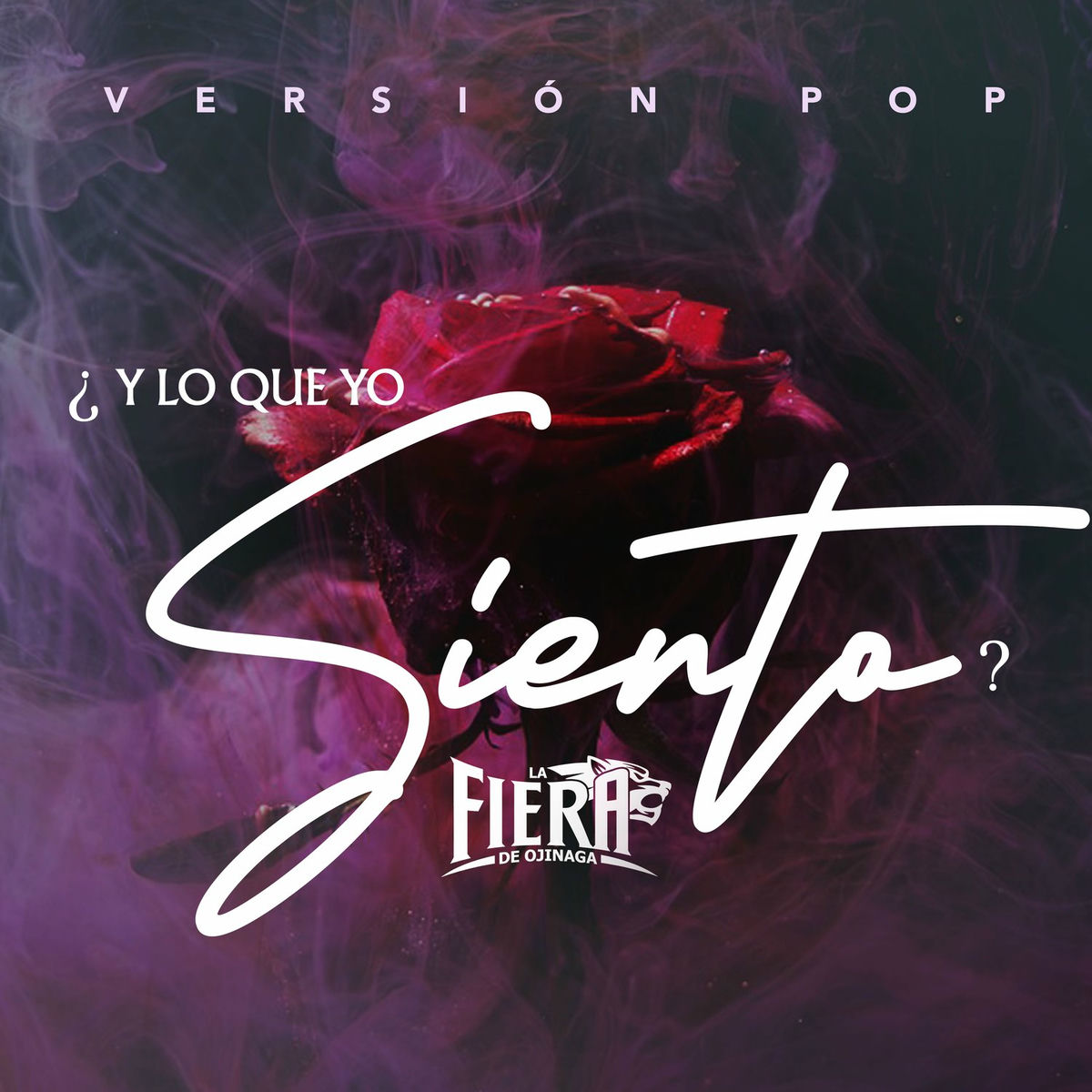 Album cover of ¿Y Lo Que Yo Siento?