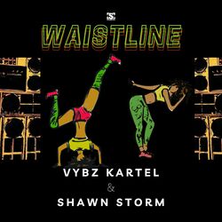 Cover of Waistline