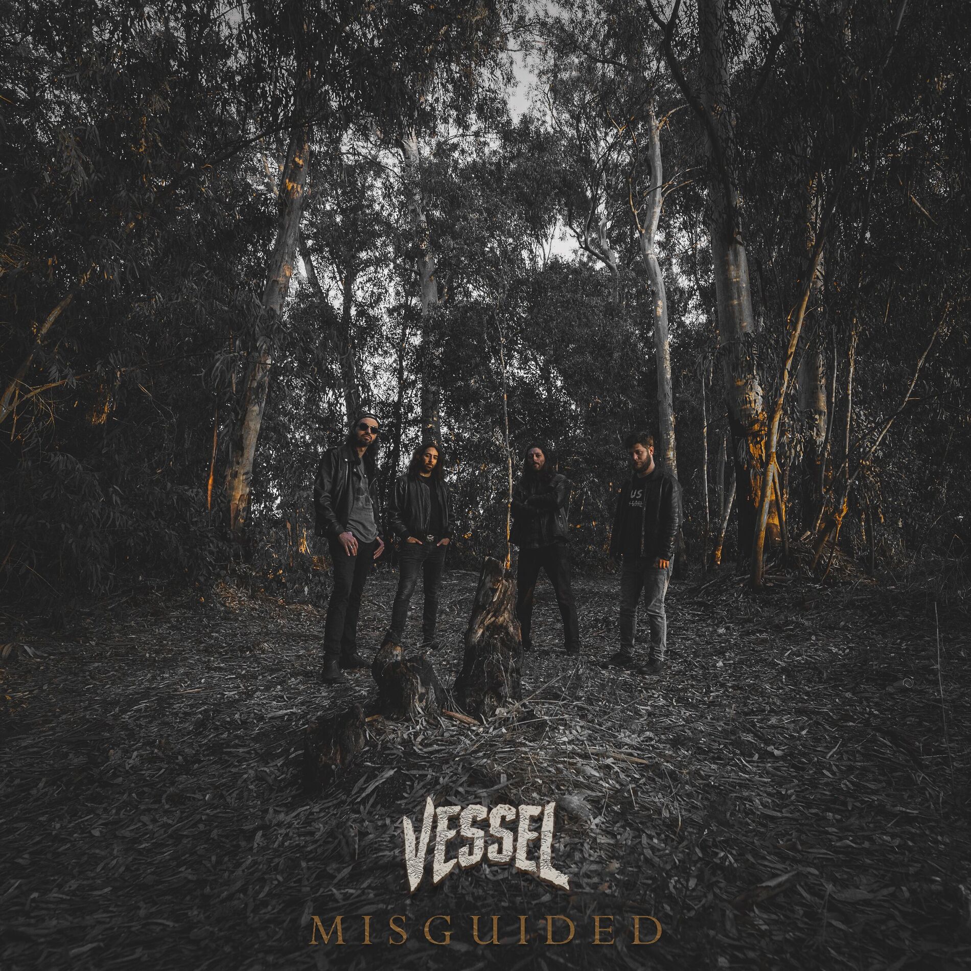 Album cover of Misguided