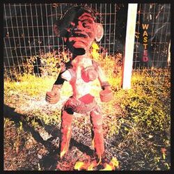 Cover of Wasted