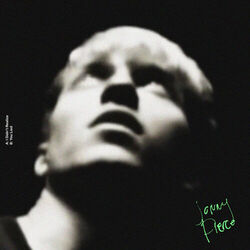Cover of I Didn't Realize b/w You Lied