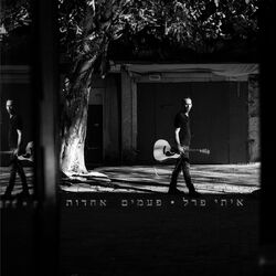 Cover of פעמים אחדות
