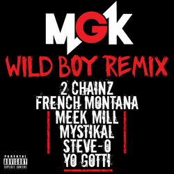 Cover of Wild Boy (Remix)