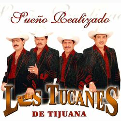 Cover of Sueno Realizado