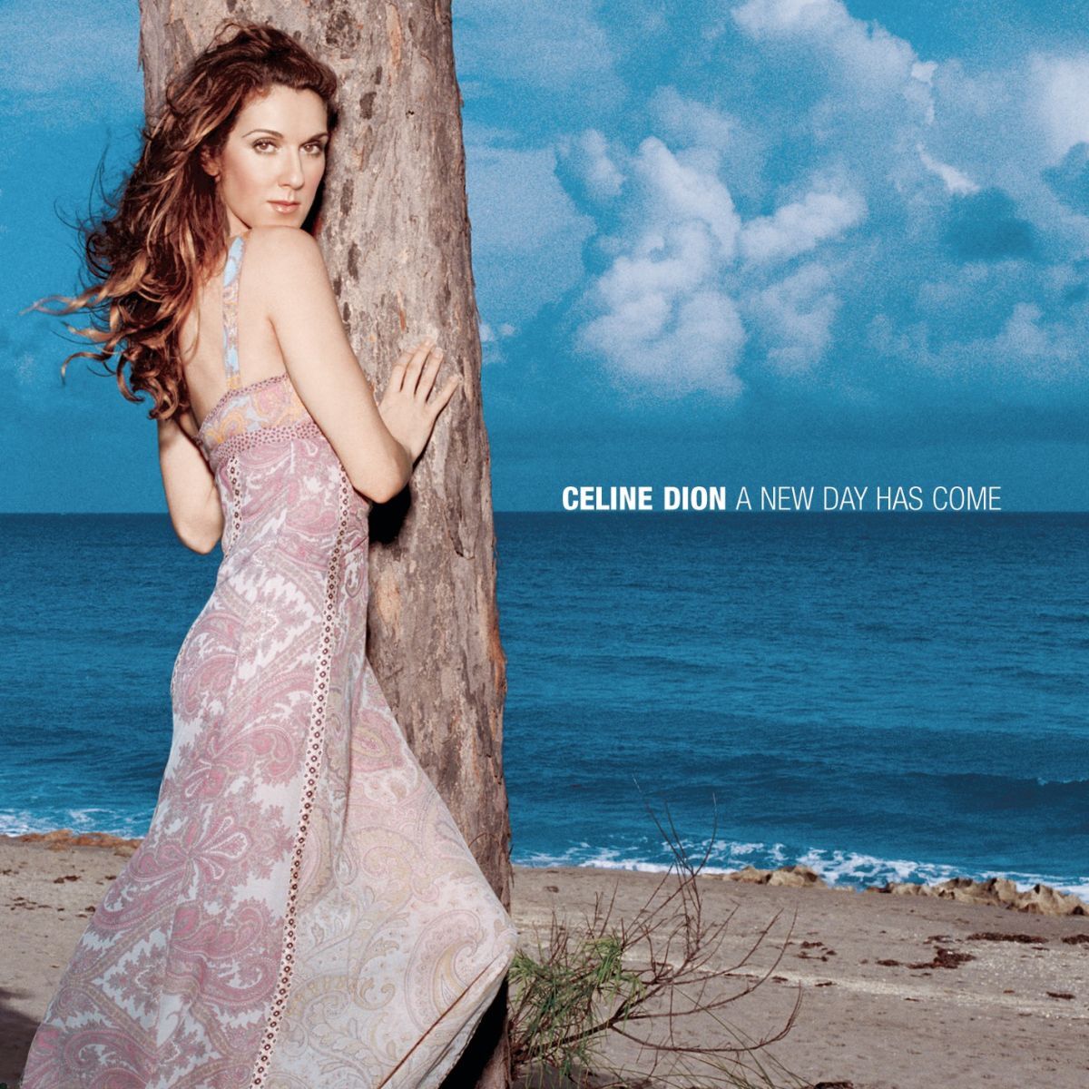 Album cover of I'm Alive