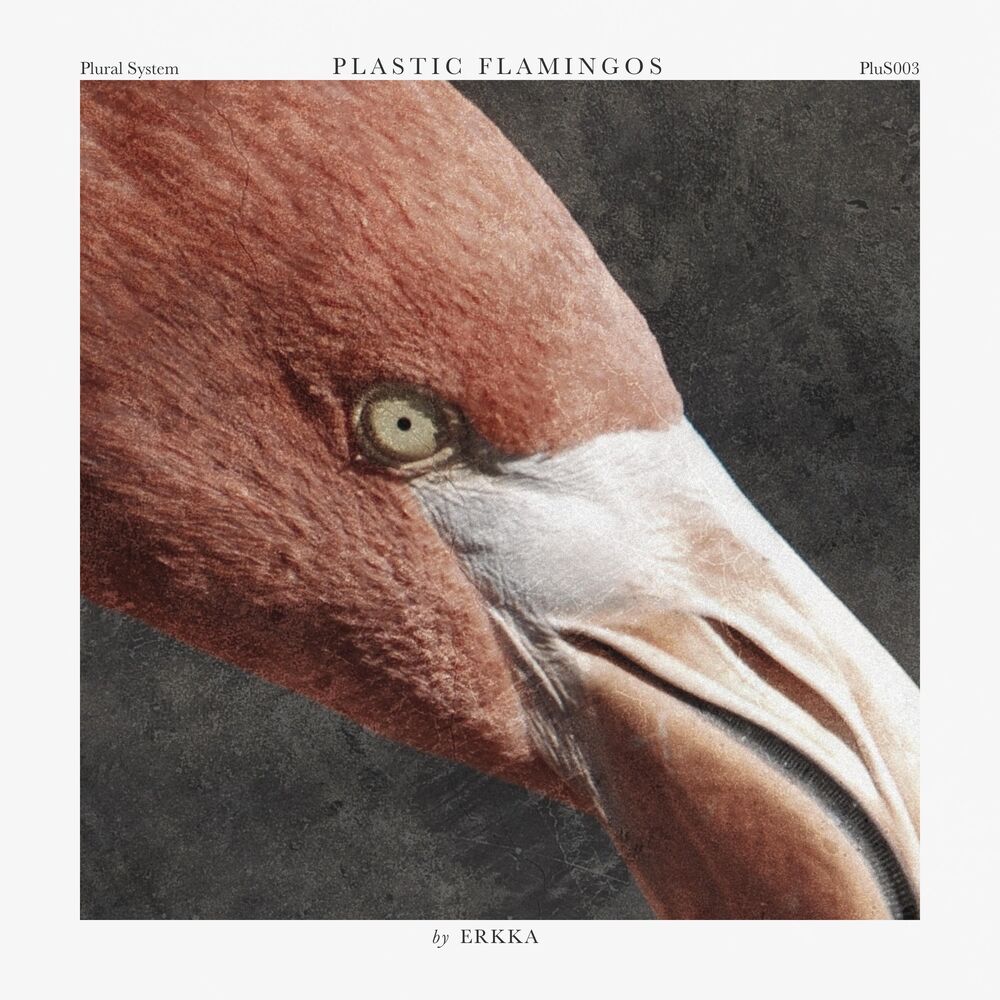 Picture of Plastic Flamingos