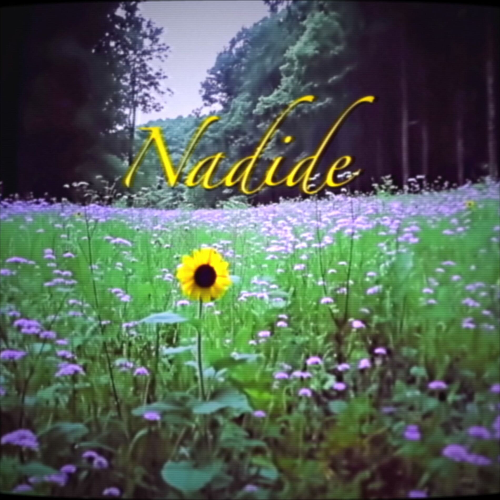 Album cover of Nadide