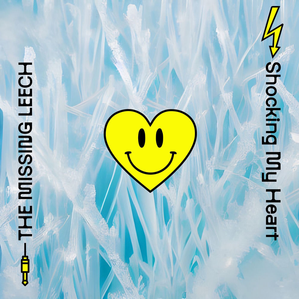 Portada de Shocking My Heart