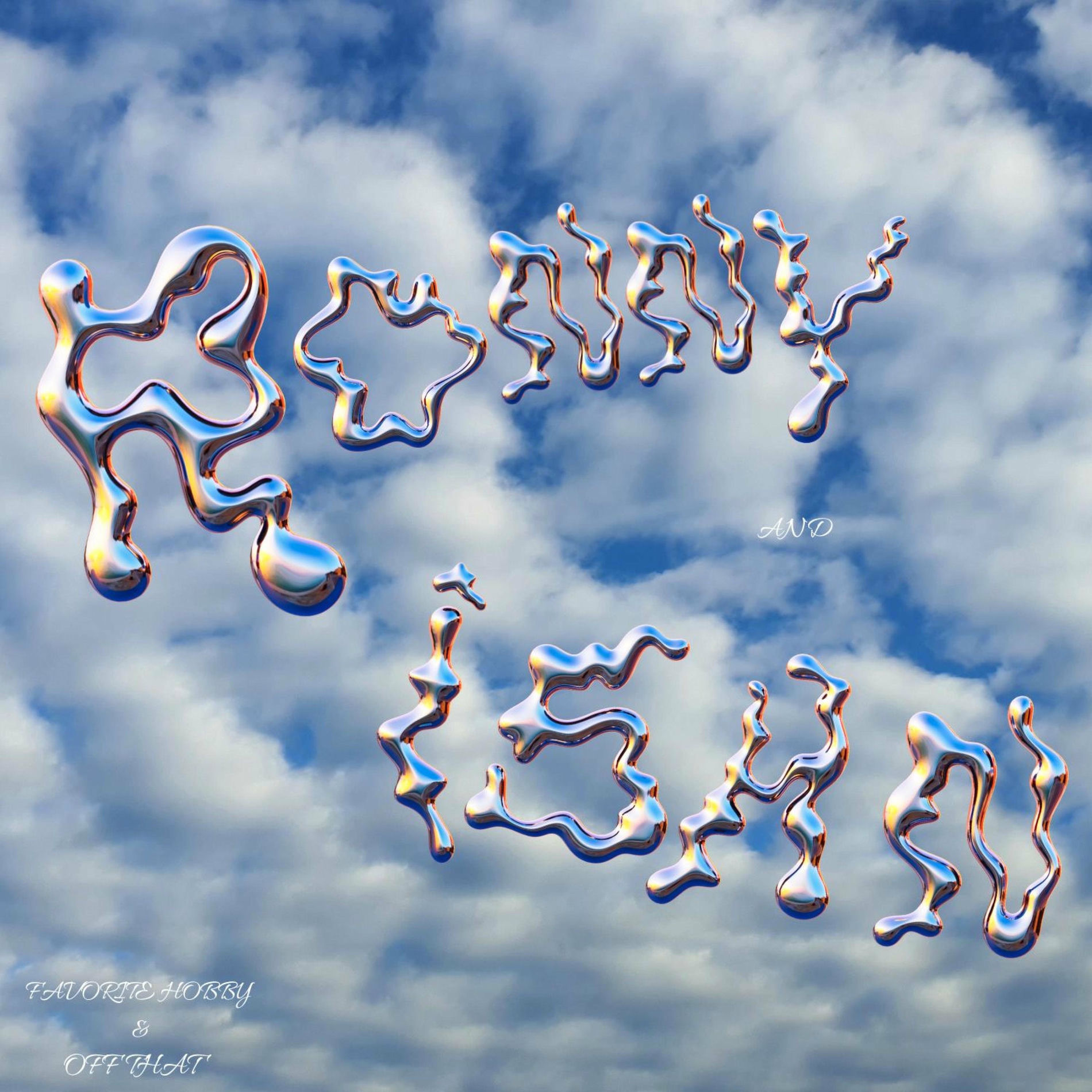 Album cover of Range Cousins