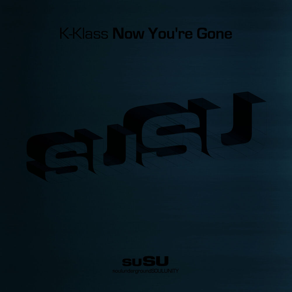 Picture of Now You're Gone