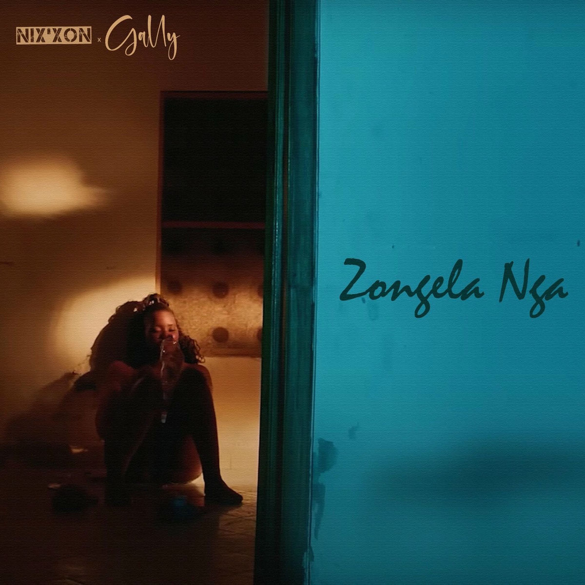 Album cover of Zongela Nga