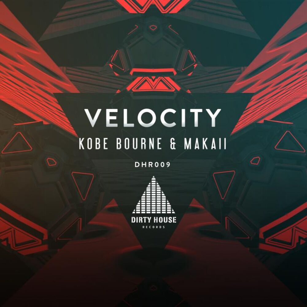 Picture of Velocity