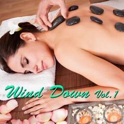 Cover of Wind Down, Vol. 1