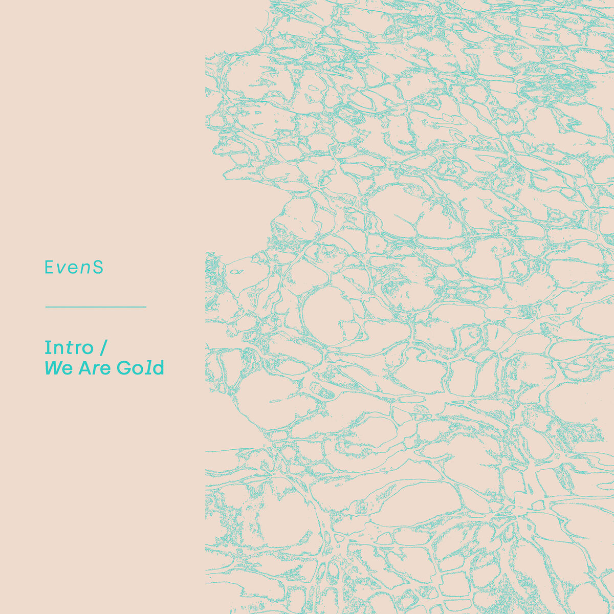 Album cover of Intro/We Are Gold