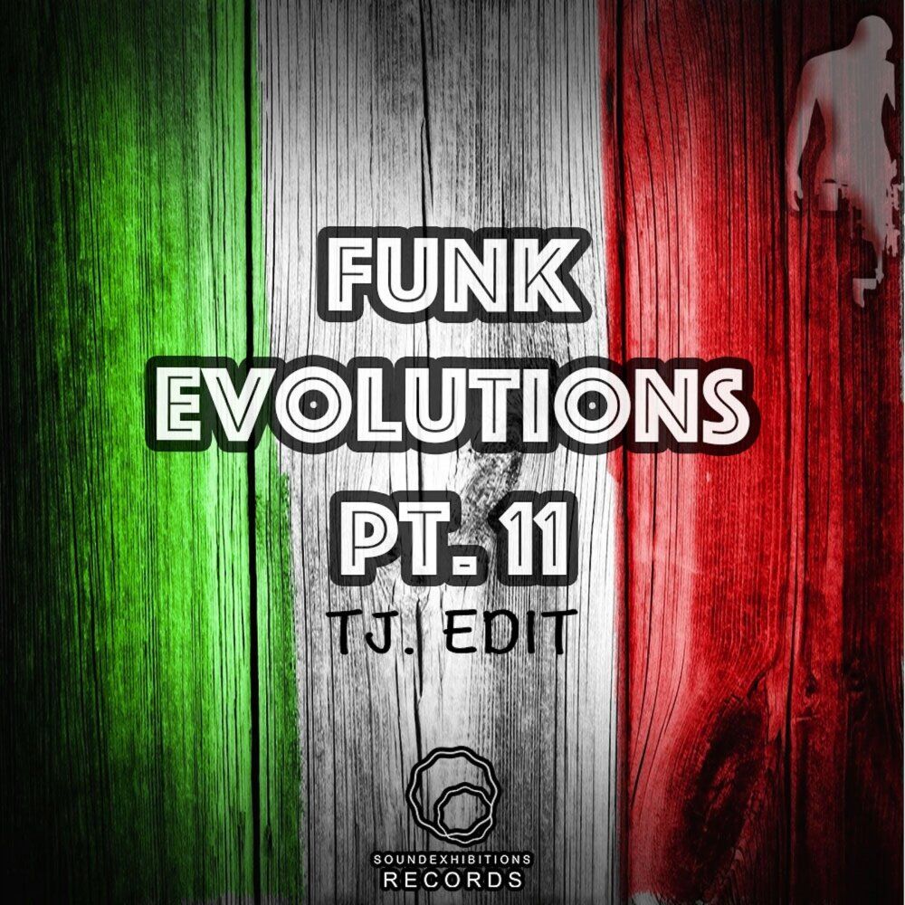 Picture of Funk Evolutions, Pt. 11