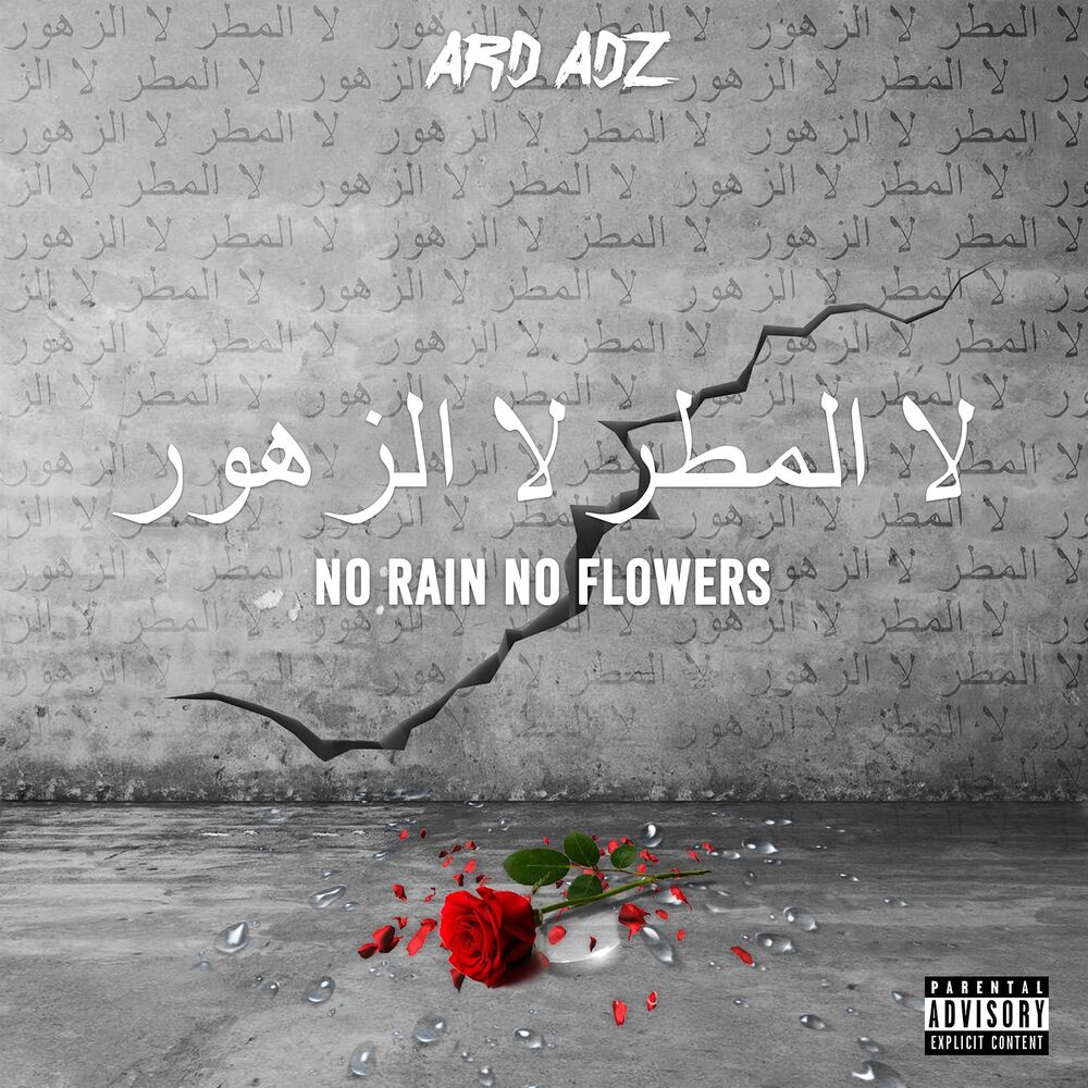 Picture of No Rain No Flowers