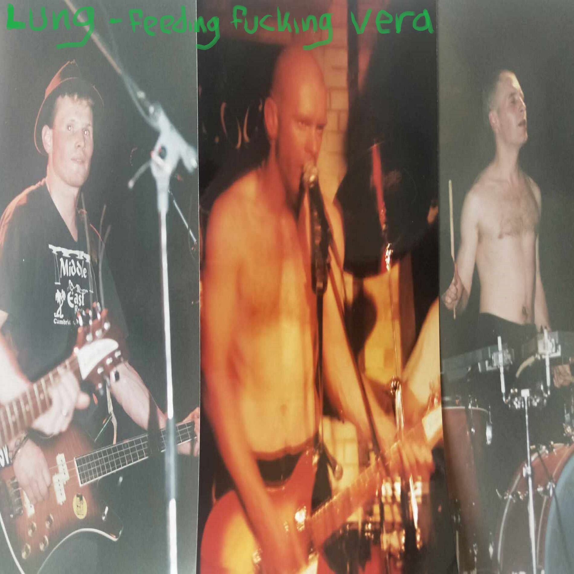 Album cover of Feeding Fucking Vera