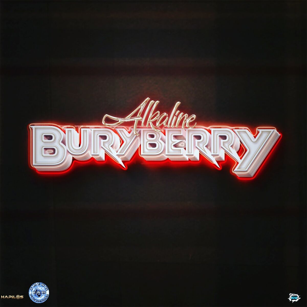 Album cover of Buryberry