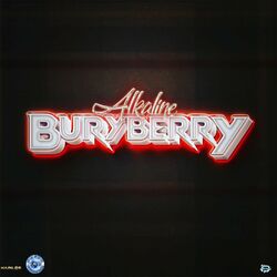 Cover of Buryberry