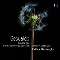 Cover of Gesualdo: Silenzio mio. Il quarto libro di madrigali