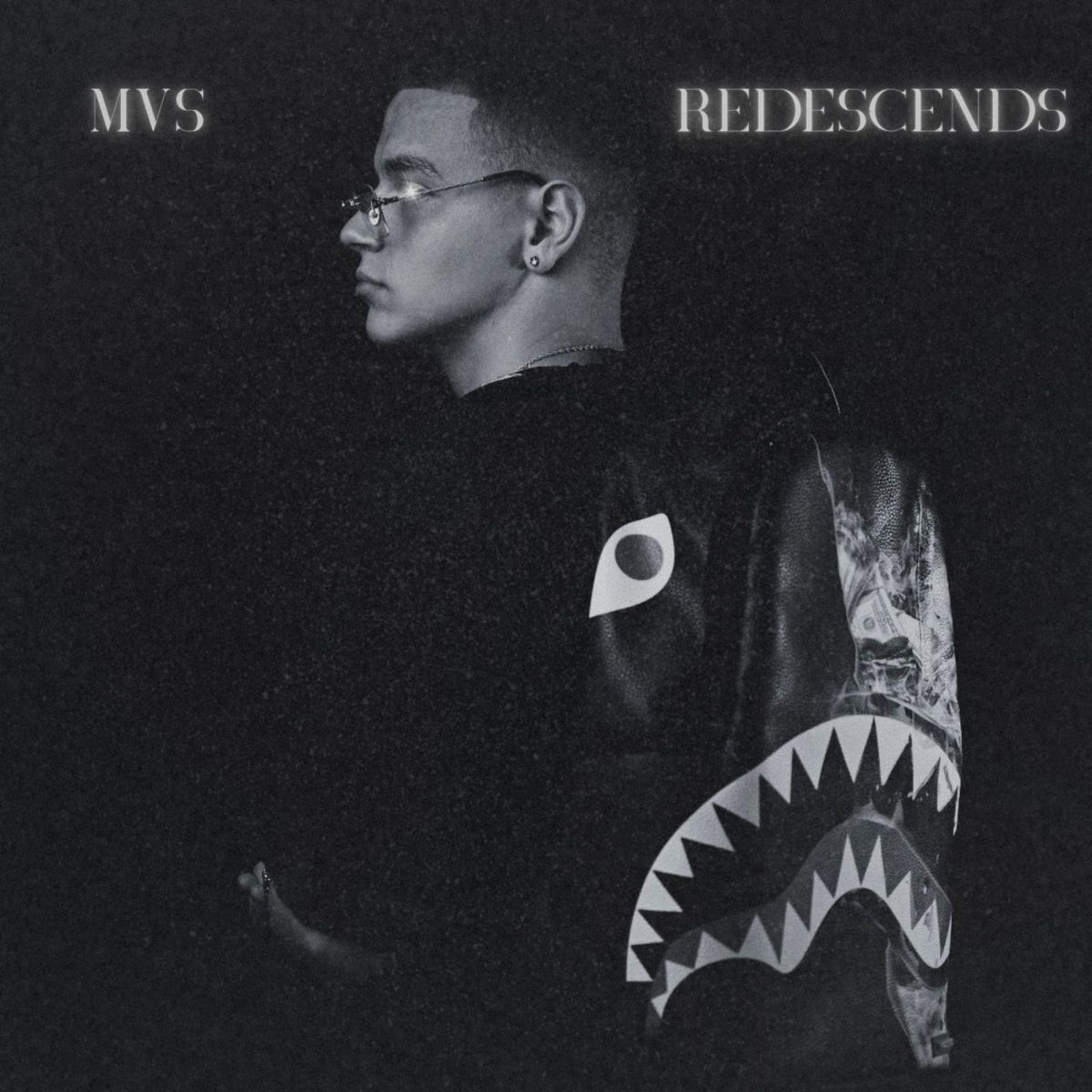 Album cover of Redescends