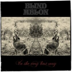 Cover of In the Very Best Way