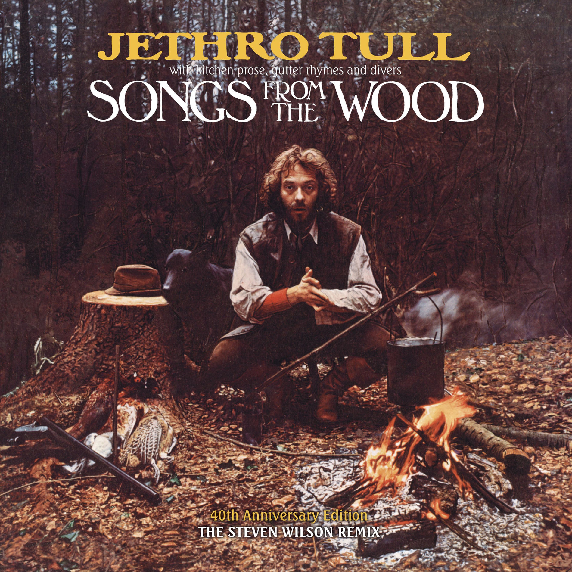 Album cover of Songs from the Wood