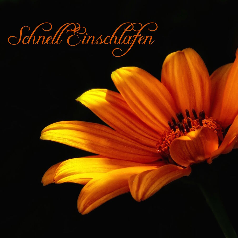 Picture of Schnell Einschlafen - Hintergrundmusik Tiefenentspannungsmusik zum Besser Schlafen und Loslassen, Meditationsmusik für Geführte Ph