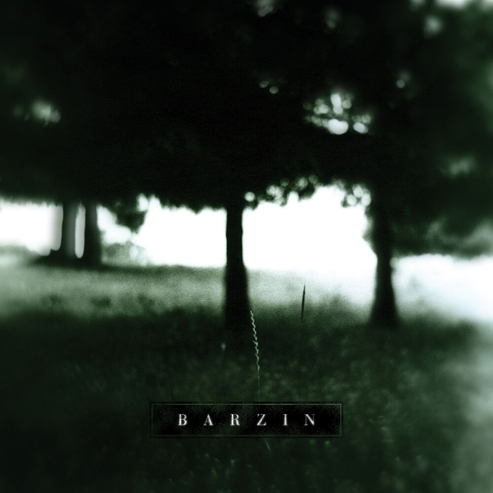 Picture of Barzin