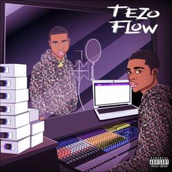 Cover of T3ZO Flow