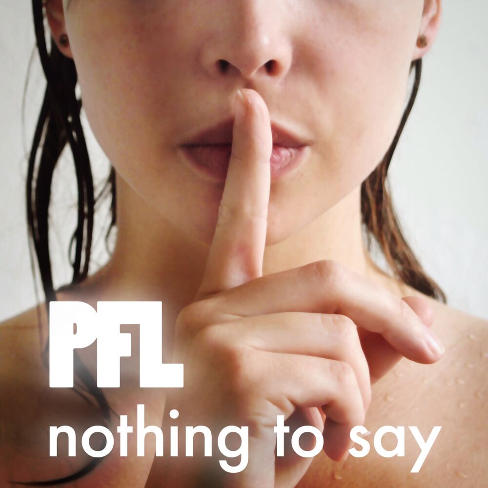 Picture of Nothing to Say