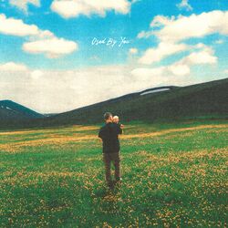 Cover of Used By You 