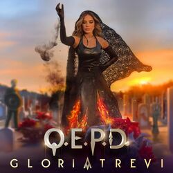 Cover of Q.E.P.D.