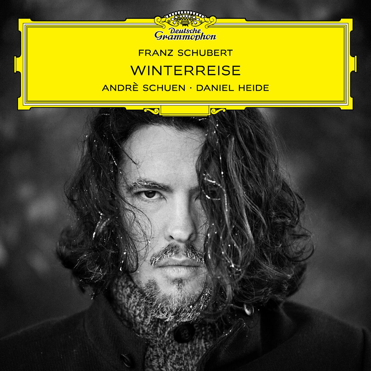 Album cover of Winterreise, D. 911 : Schubert: Winterreise, D. 911: No. 1, Gute Nacht