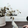 Lonely Backdrops for Napping Hour