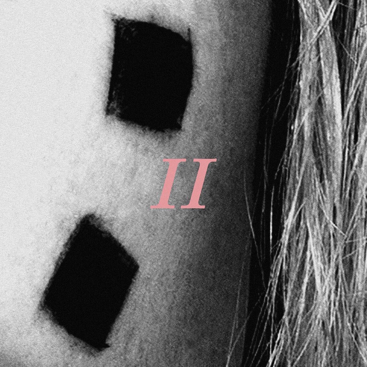 Album cover of Roses/Lotus/Violet/Iris
