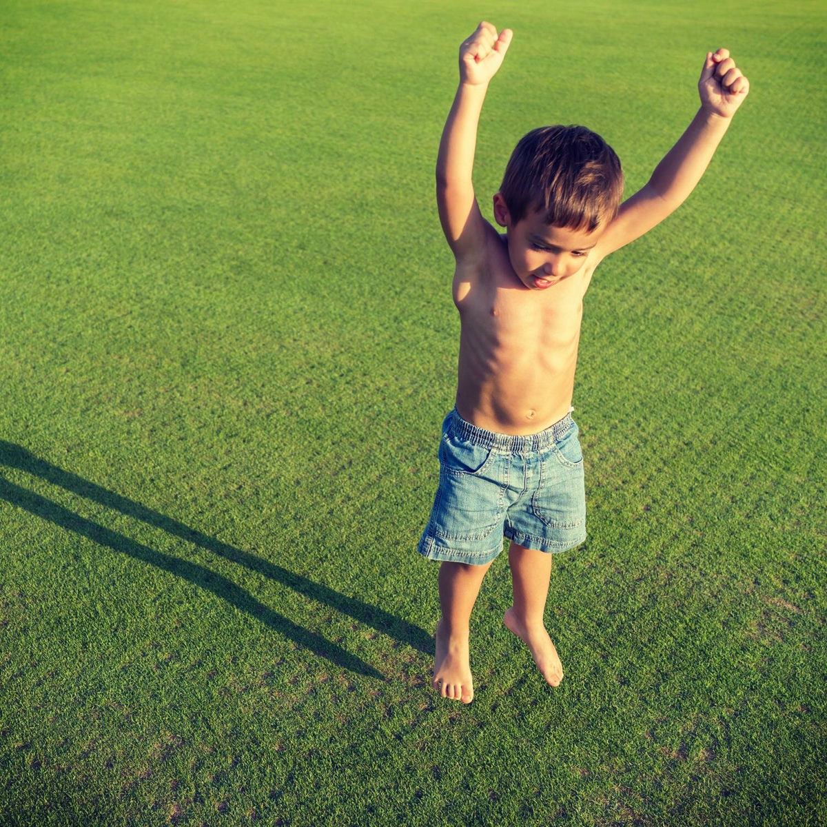 Album cover of The Zipzap