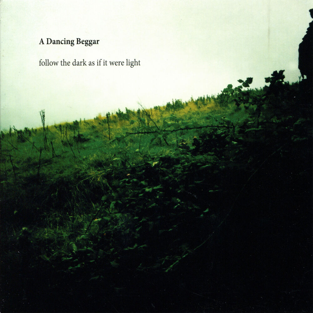 Picture of Follow The Dark as If It Were Light