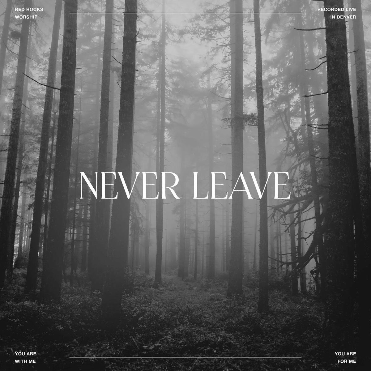 Album cover of Never Leave