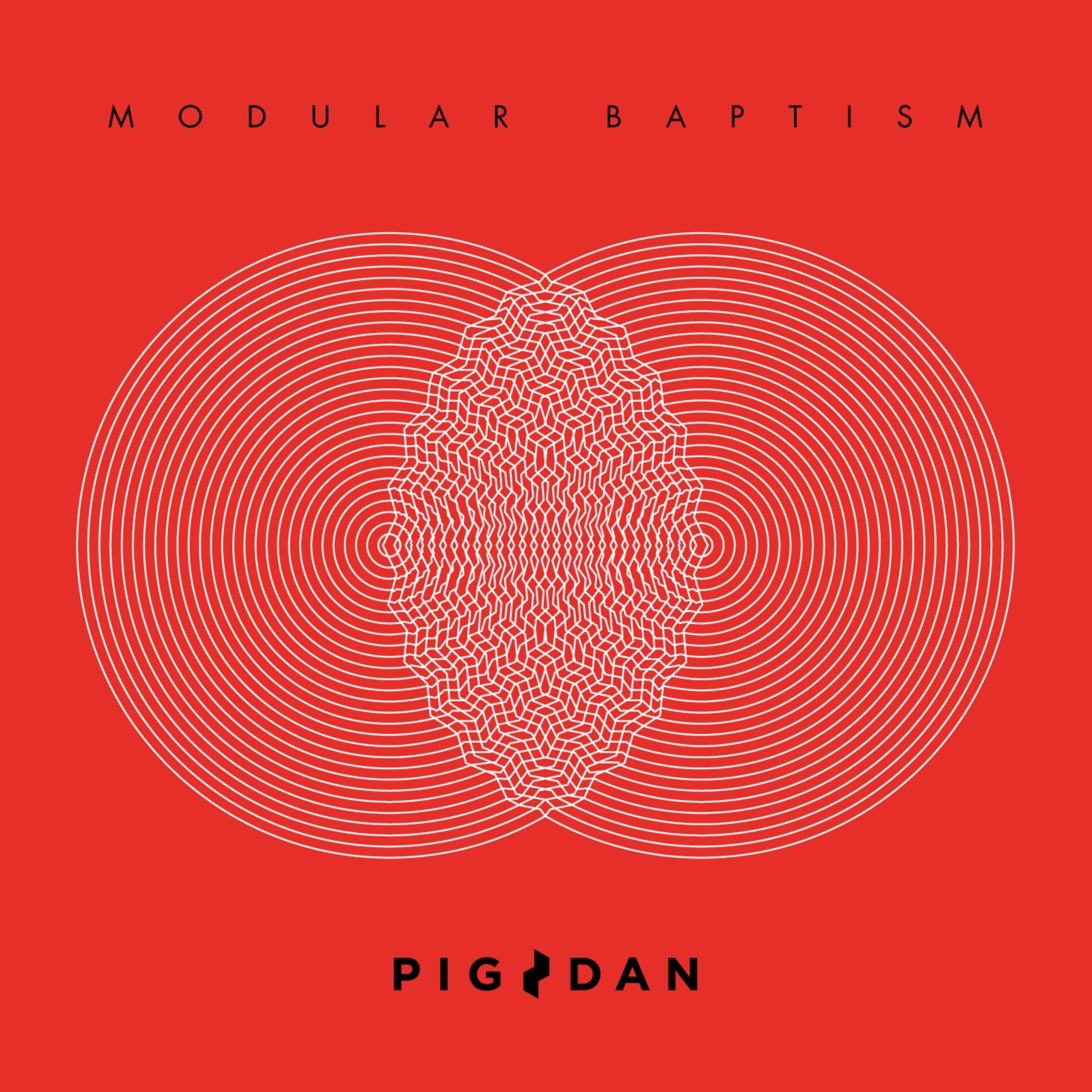 Album cover of Modular Baptism