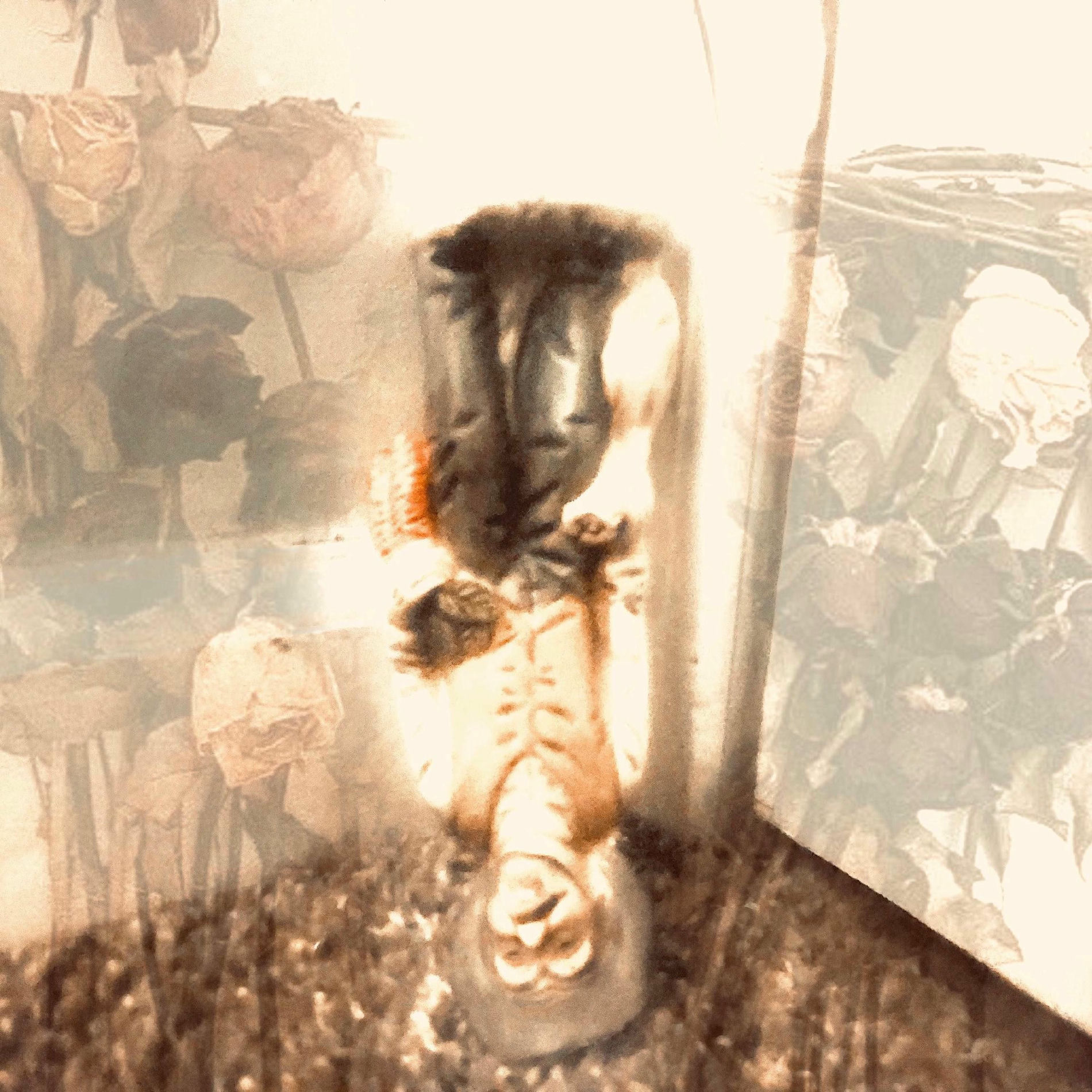 Ayden James: albums, songs, concerts | Deezer