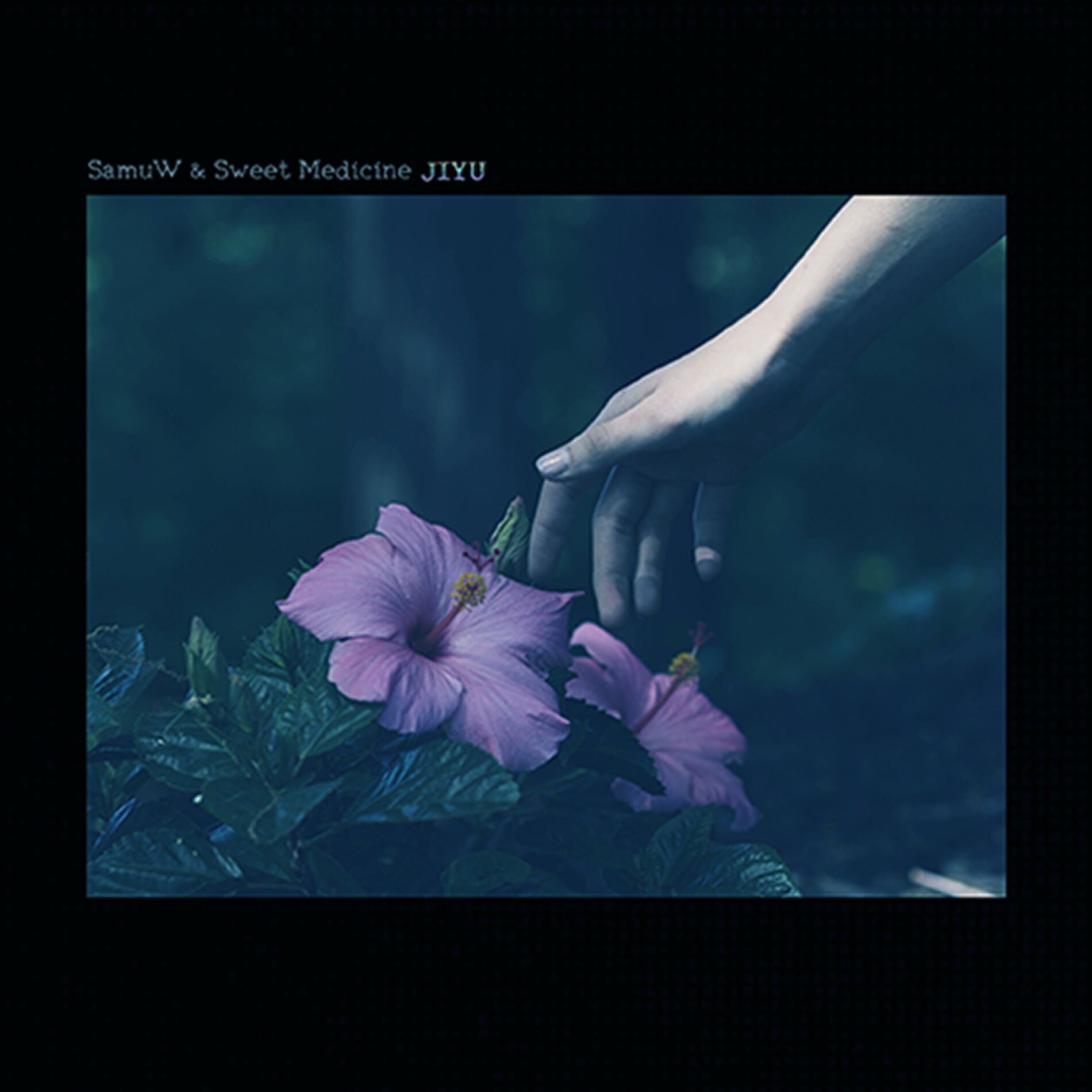 Album cover of Jiyu