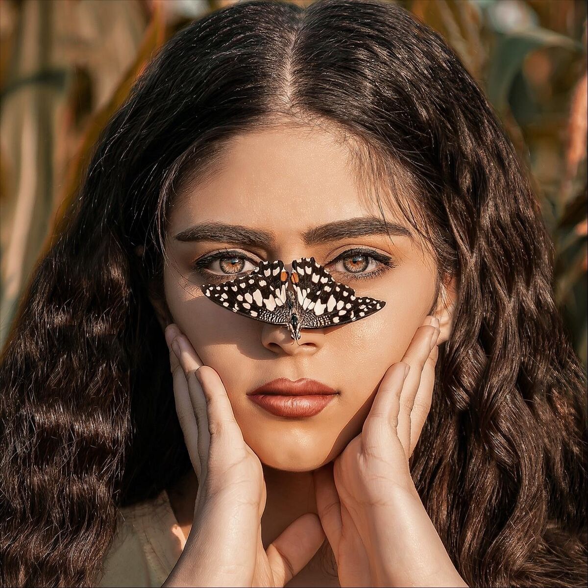 Album cover of Butterfly