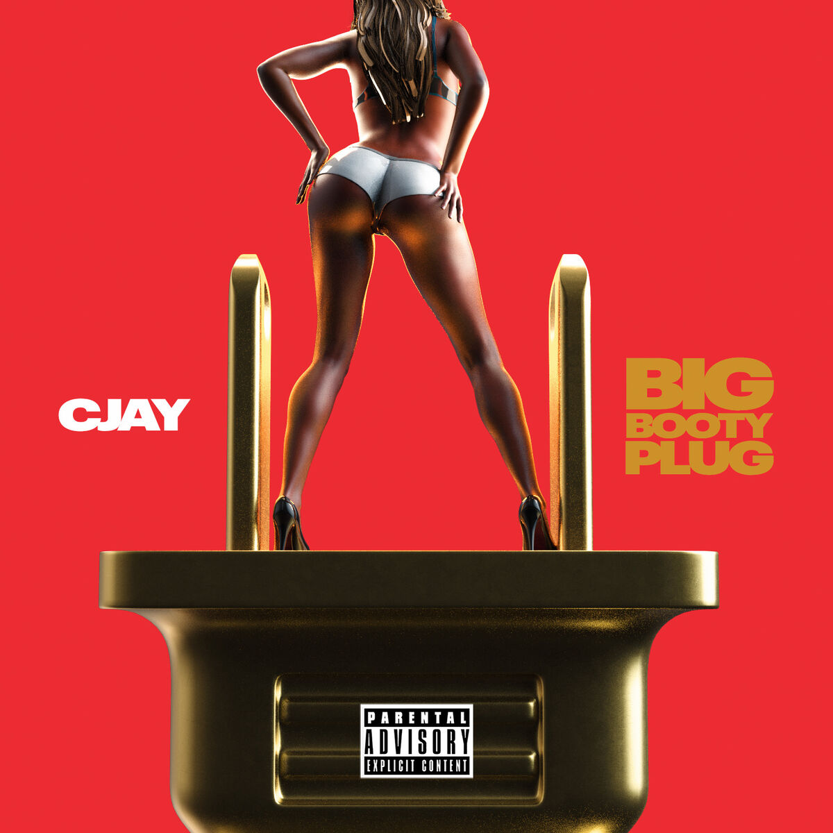 Album cover of Big Booty Plug