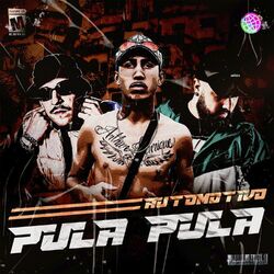 Cover of AUTOMOTIVO PULA PULA