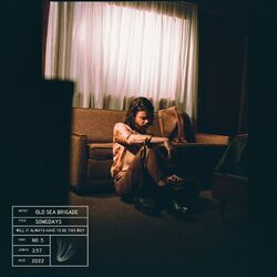 Cover of Somedays