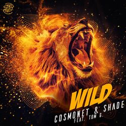 Cover of Wild