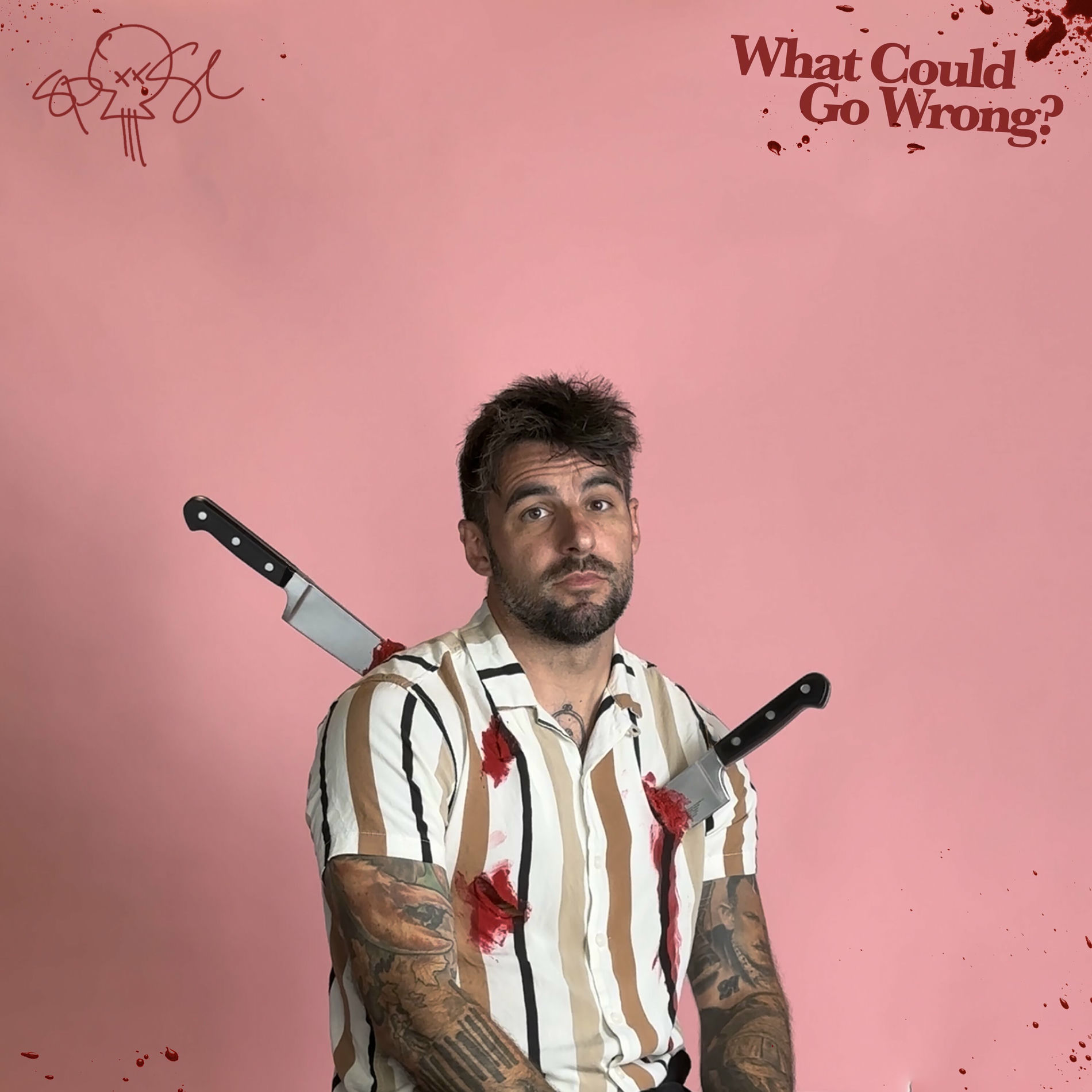 Album cover of What Could Go Wrong?